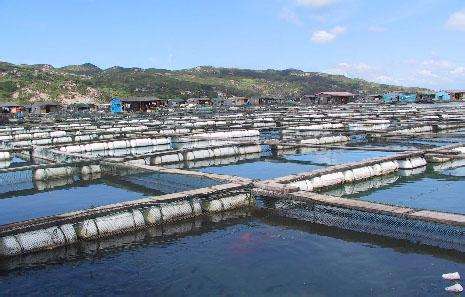 德瑞亞空壓機助力淡水養殖，營造和諧水產市場